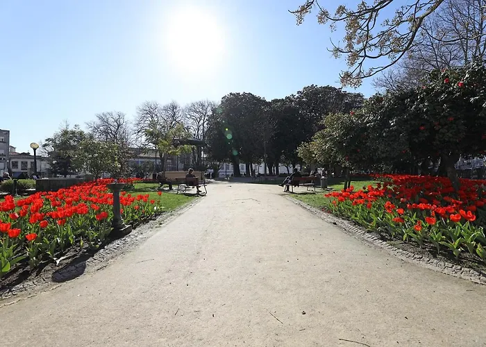 Flh Spacious With Balcony Lägenhet Oporto